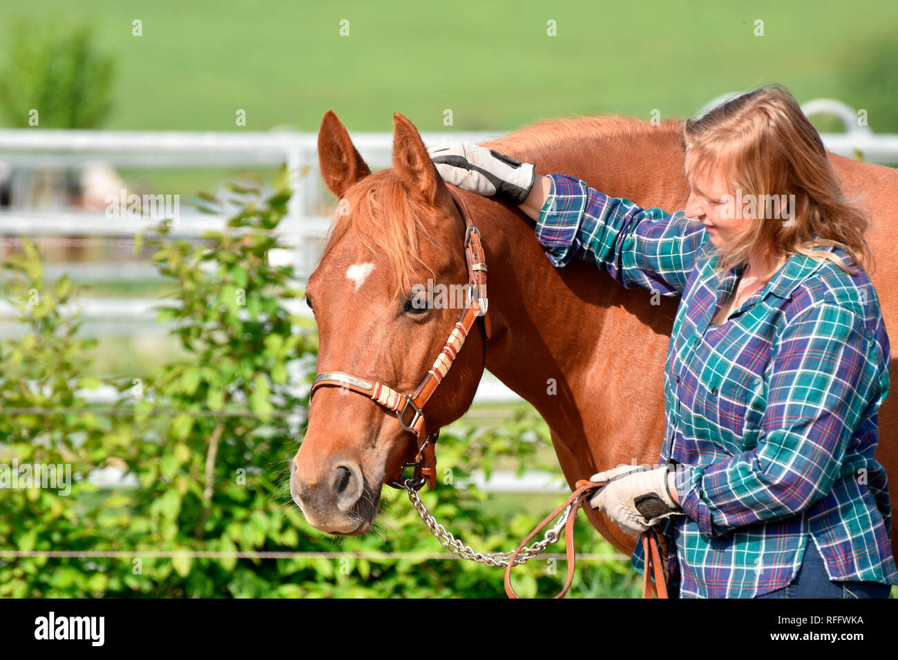 Woman with American Quarter Horse, mare, sorrell Stock Photo