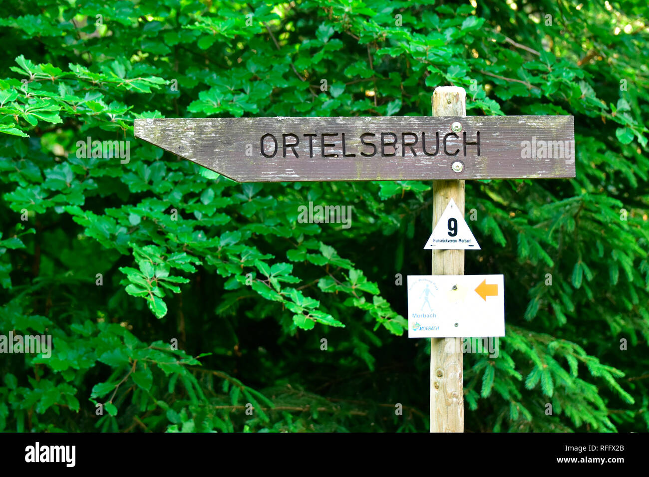 Ortel Marsh, Rhineland-Palatinate, Hunsrueck, Germany Stock Photo