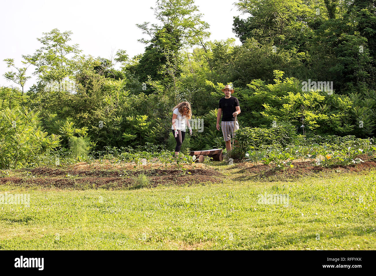 Young man and woman Working in a Home Grown Vegetable Garden Stock Photo