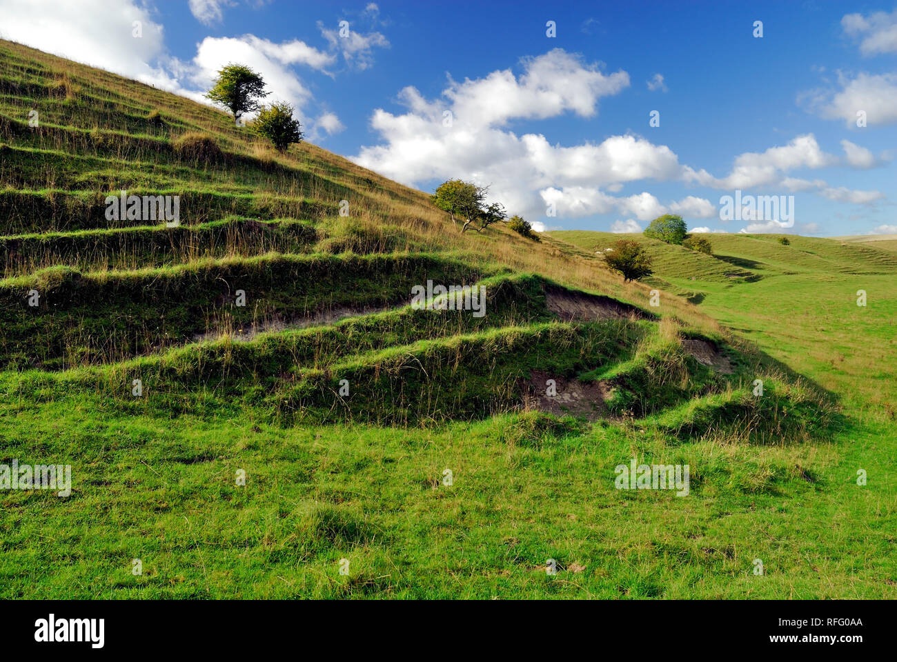 Terracettes in Calstone Coombes. Stock Photo