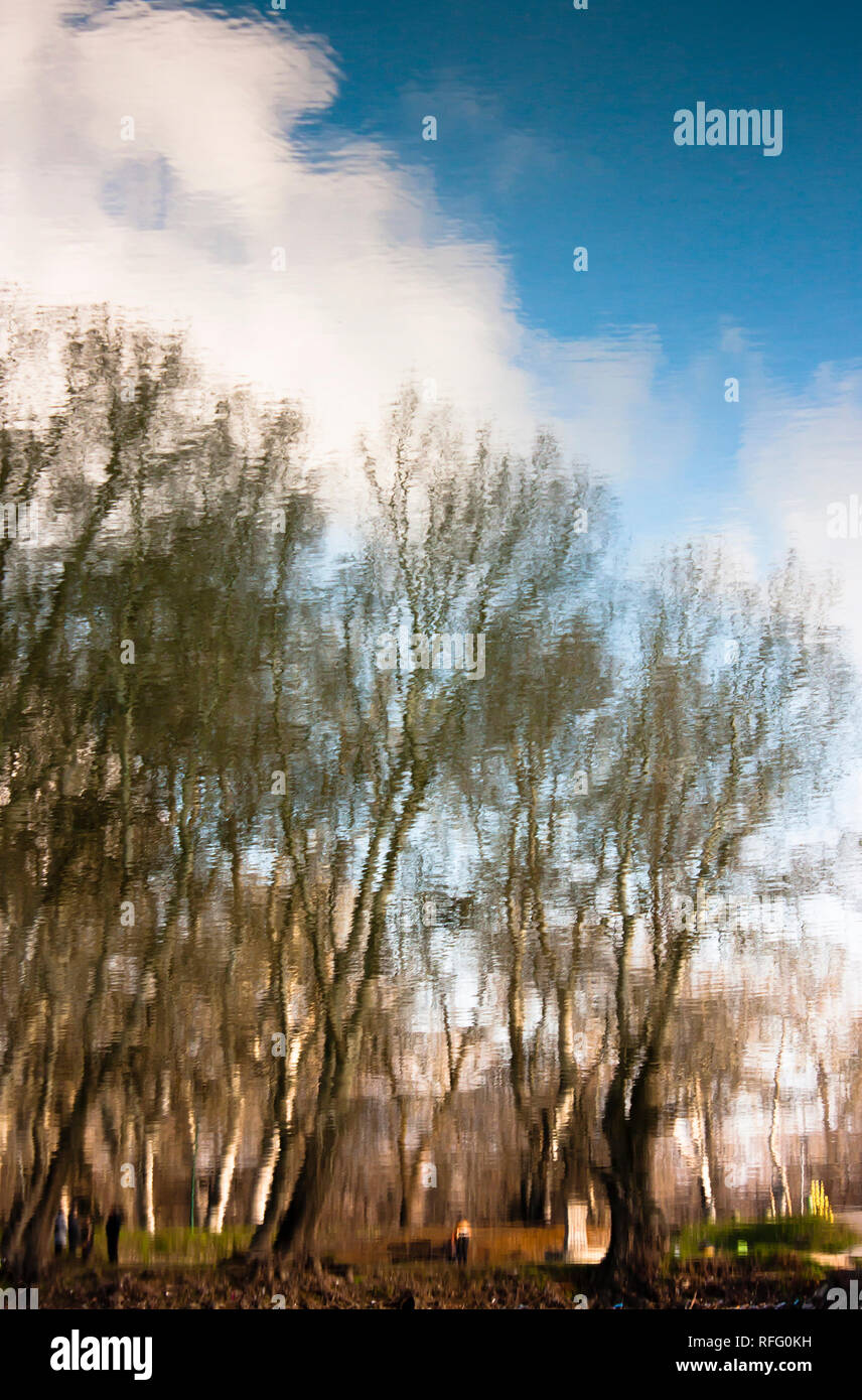 Blurry nature, park trees and sky with clouds reflected in river waters Stock Photo