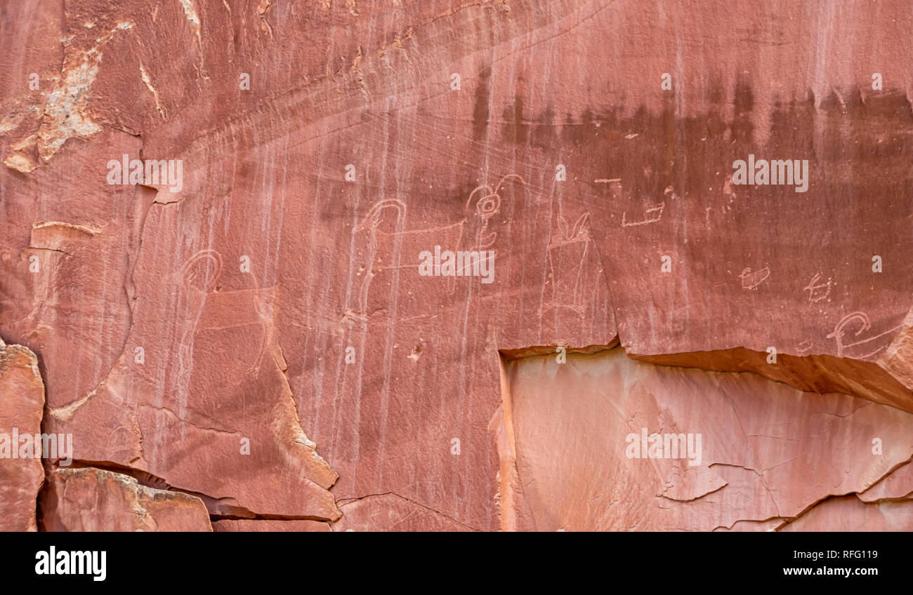 Petroglyphs at Capitol Reef National Park in Utah, USA Stock Photo - Alamy