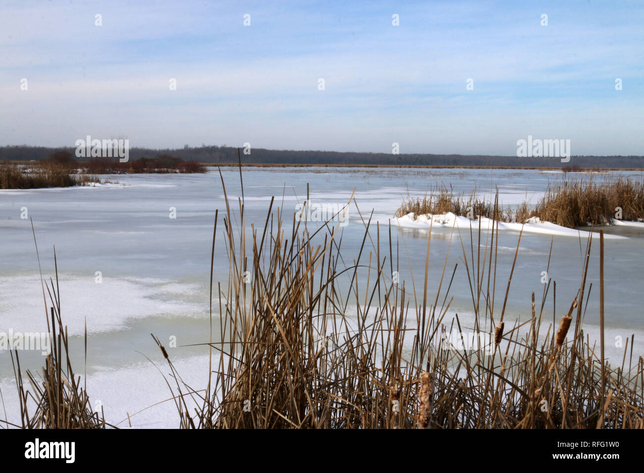 FRozen Tiny Marsh in winter near Midland Ontario Stock Photo