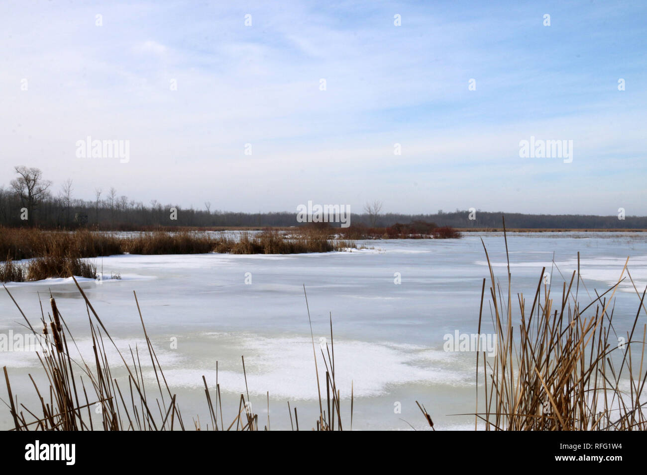 FRozen Tiny Marsh in winter near Midland Ontario Stock Photo