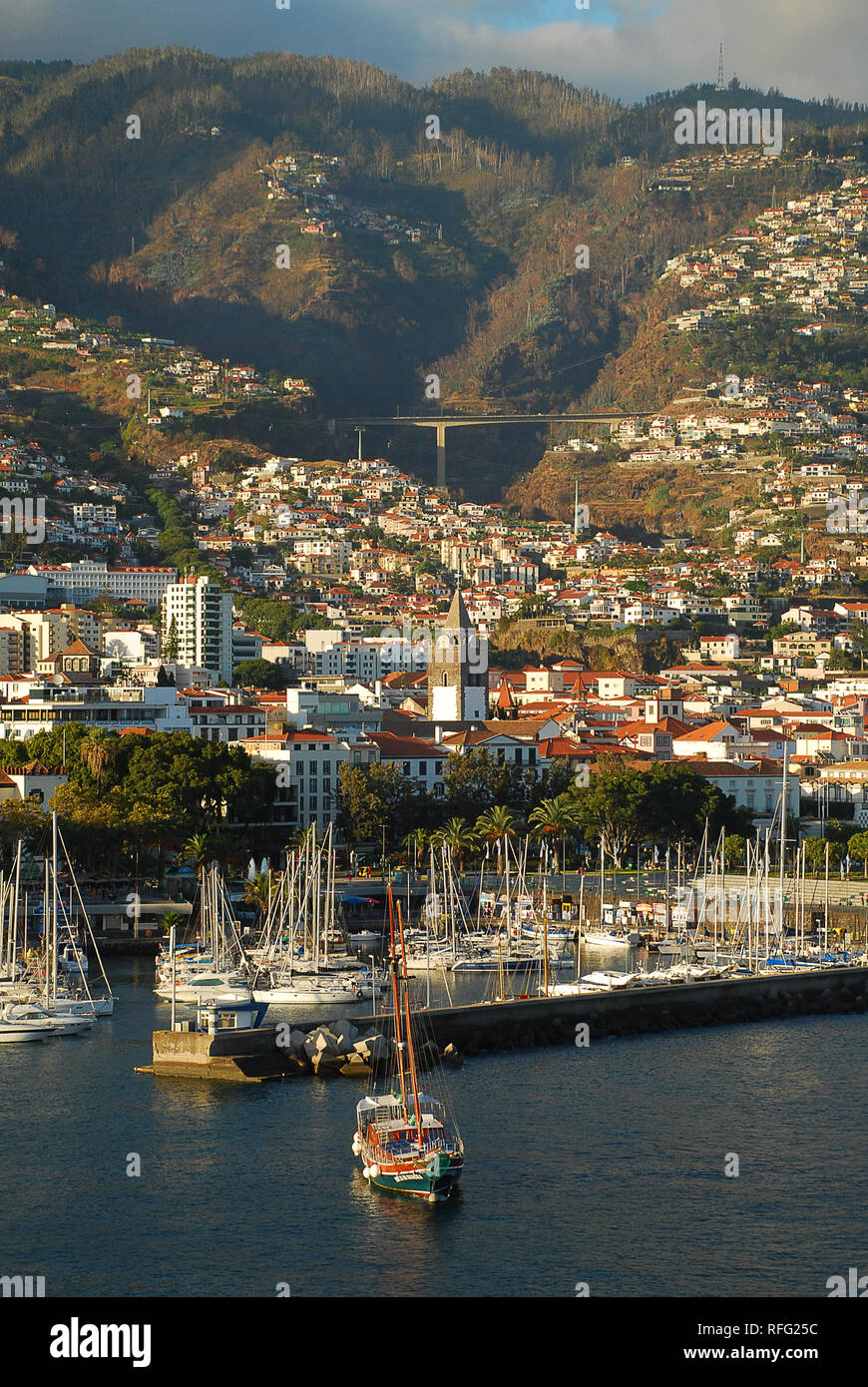 Madeira's Port in Funchal, Portugal. The harbor of Funchal was the only