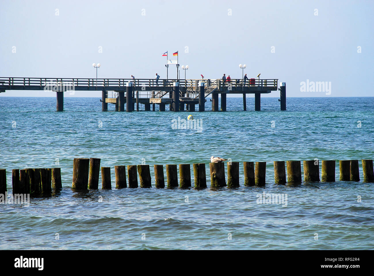 Coast protection in Kuehlungsborn (Germany): groynes. In the background the pier of Kuehlungsborn Stock Photo