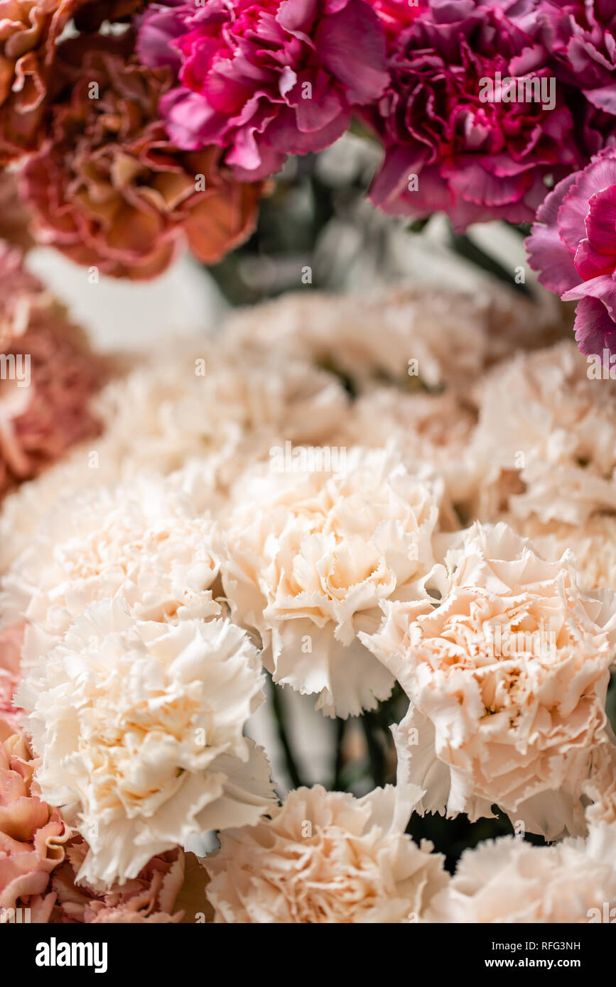 Carnation Flowers Of Different Varieties And Colors Bunch Pastel Color carnation-flowers-of-different-varieties-and-colors-bunch-pastel-color