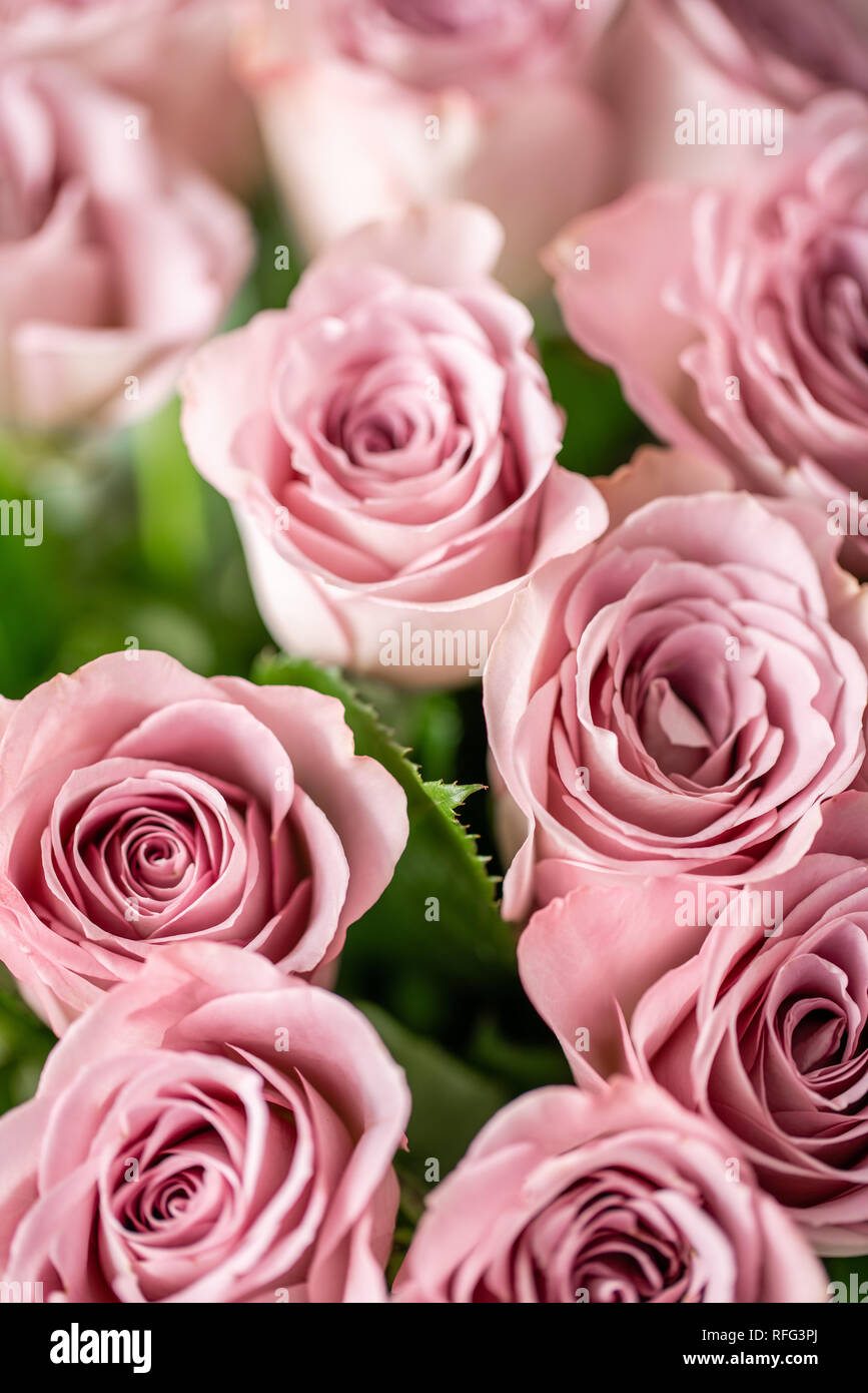 Pink roses in glass vases. Bunch pastel color. the concept of a florist in  a flower shop. Wallpaper Stock Photo - Alamy