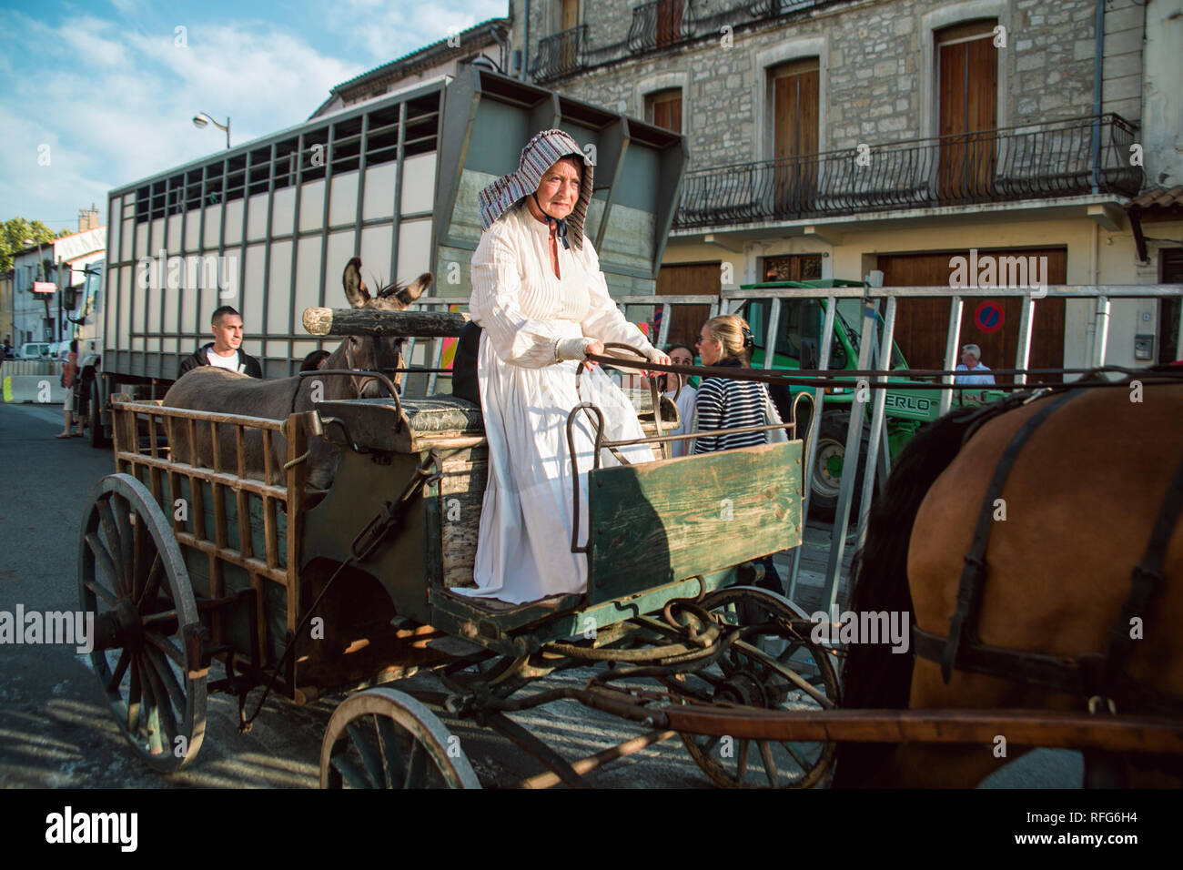 French lady driving horse drawn wagon carrying a mule in the Old School Parade of traditional trades at Annual Fete, Saint Gilles, Gard, France. Stock Photo