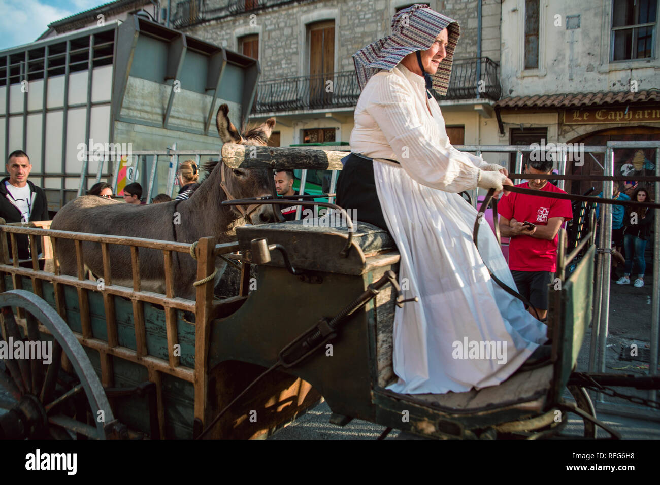 French lady driving horse drawn wagon carrying a mule in the Old School Parade of traditional trades at Annual Fete, Saint Gilles, Gard, France. Stock Photo
