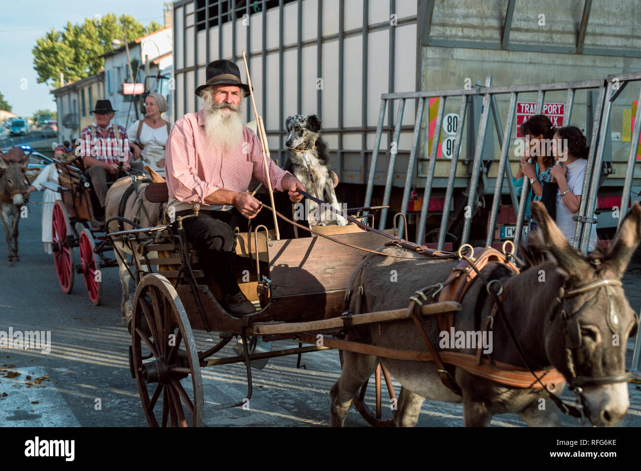 Mule pulling cart in the Old School Parade of traditional trades at Annual Fete, Saint Gilles, Gard, France Stock Photo