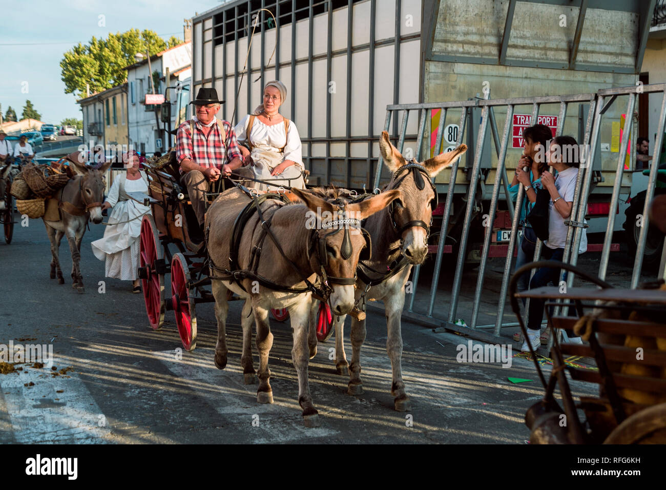 Mules pulling old wagon hi-res stock photography and images - Alamy