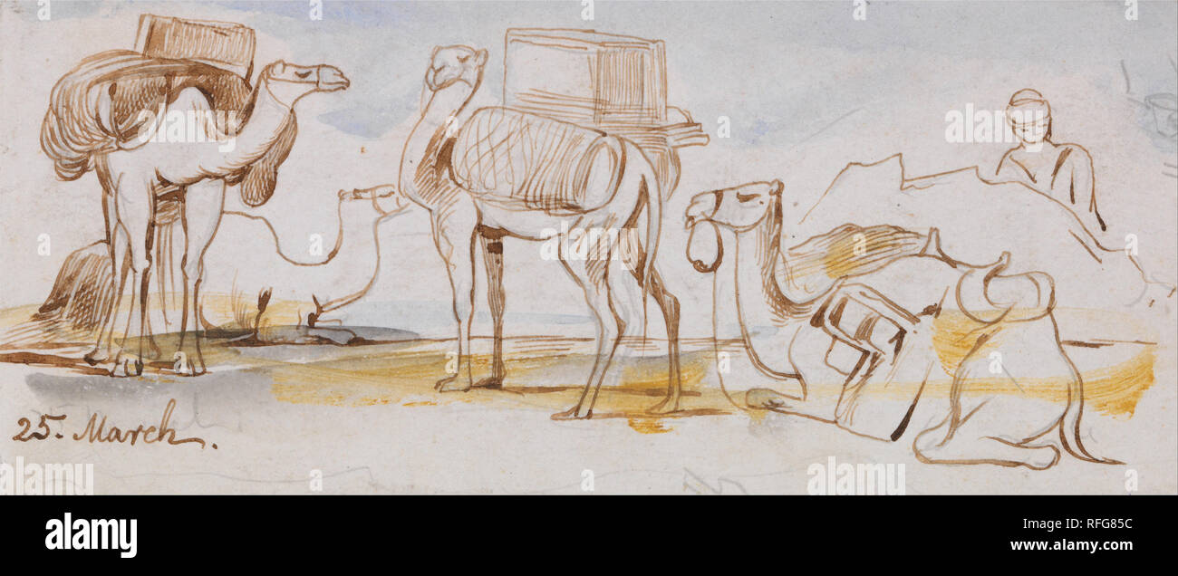 Camels. Date/Period: 1867. Animal art. Watercolor with pen in brown ink, over graphite on medium, slightly textured, blued white wove paper. Height: 51 mm (2 in); Width: 117 mm (4.60 in). Author: Edward Lear. Stock Photo