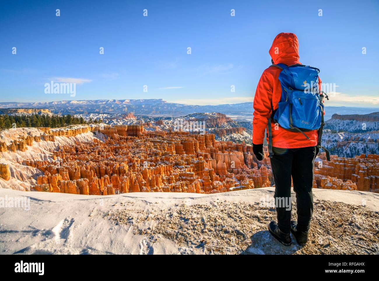 Young woman looking at the amphitheatre at morning light, bizarre snowy rocky landscape with Hoodoos in winter, Sunset Point Stock Photo