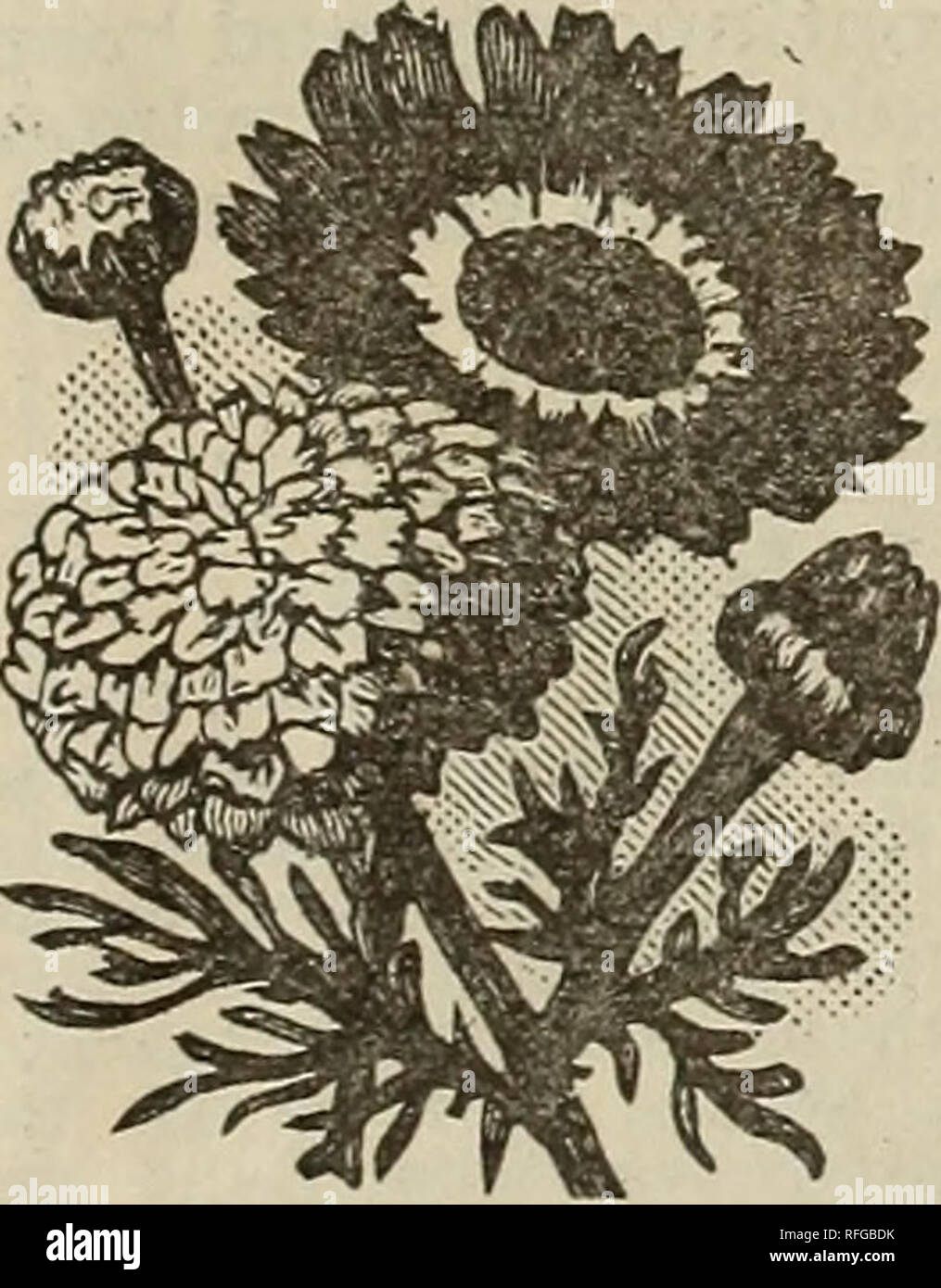 . Park's floral guide 1901. Nursery stock Pennsylvania Catalogs