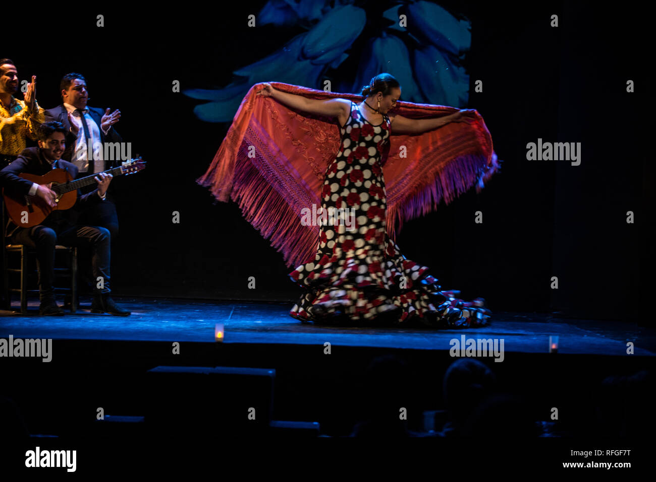 Spain Madrid Flamenco Show High Resolution Stock Photography And Images Alamy