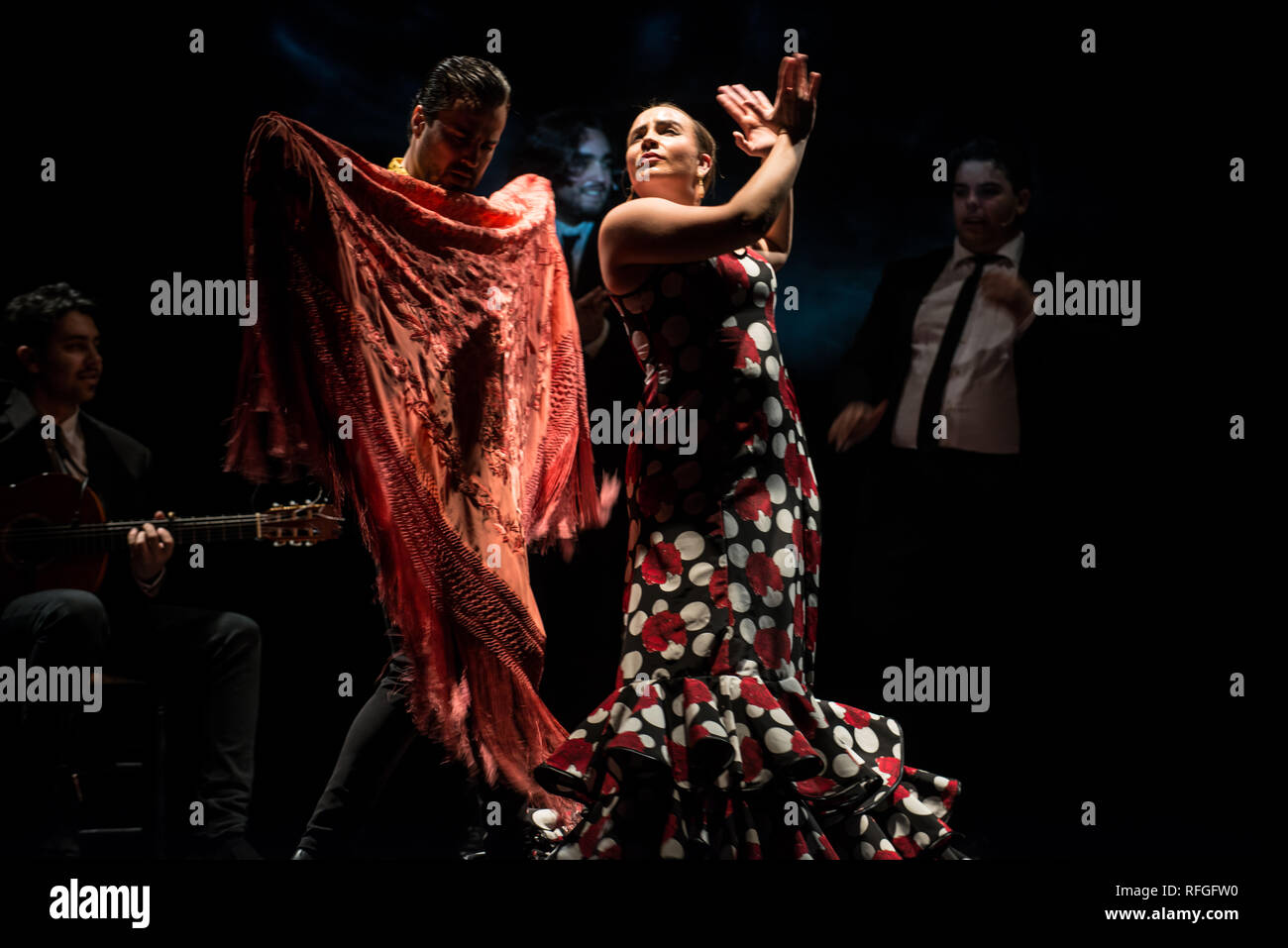 Emociones Flamenco Show Teatro Flamenco Madrid January 19 Stock Photo Alamy