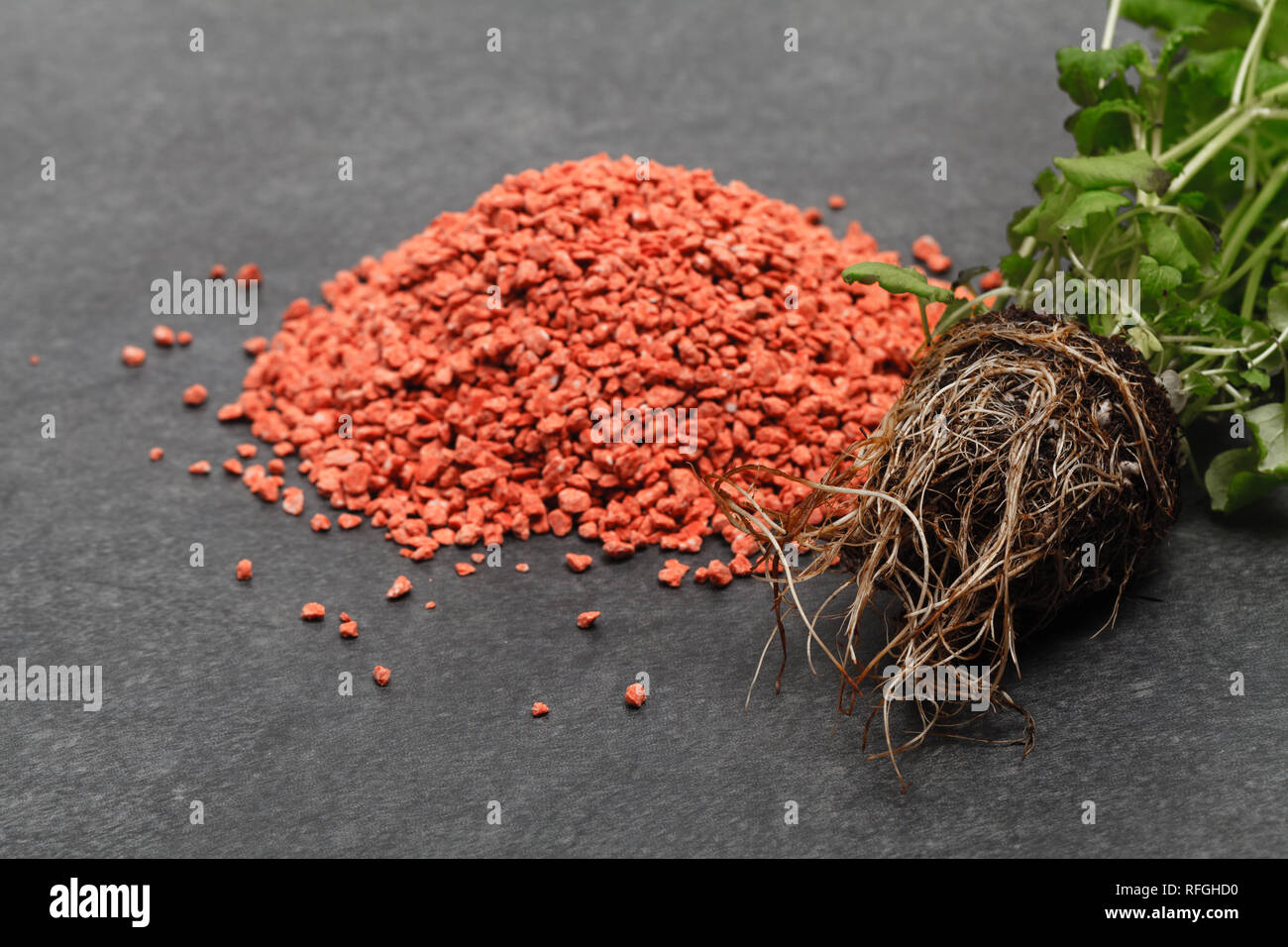 Mineral Chemical fertilizer, help plant to grow Stock Photo Alamy