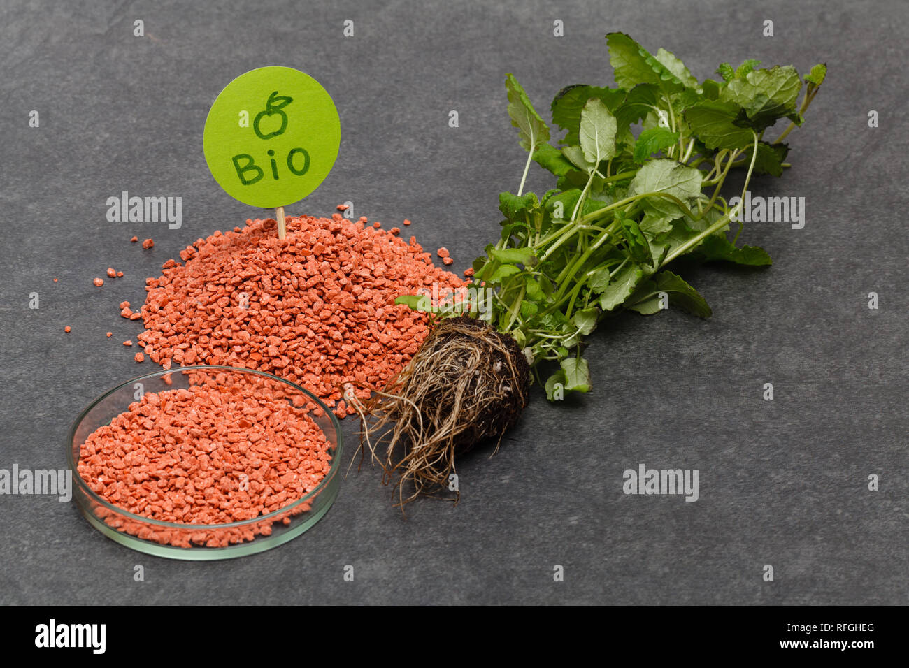 add Mineral Chemical fertilizer in soli help plant to grow Stock Photo Alamy