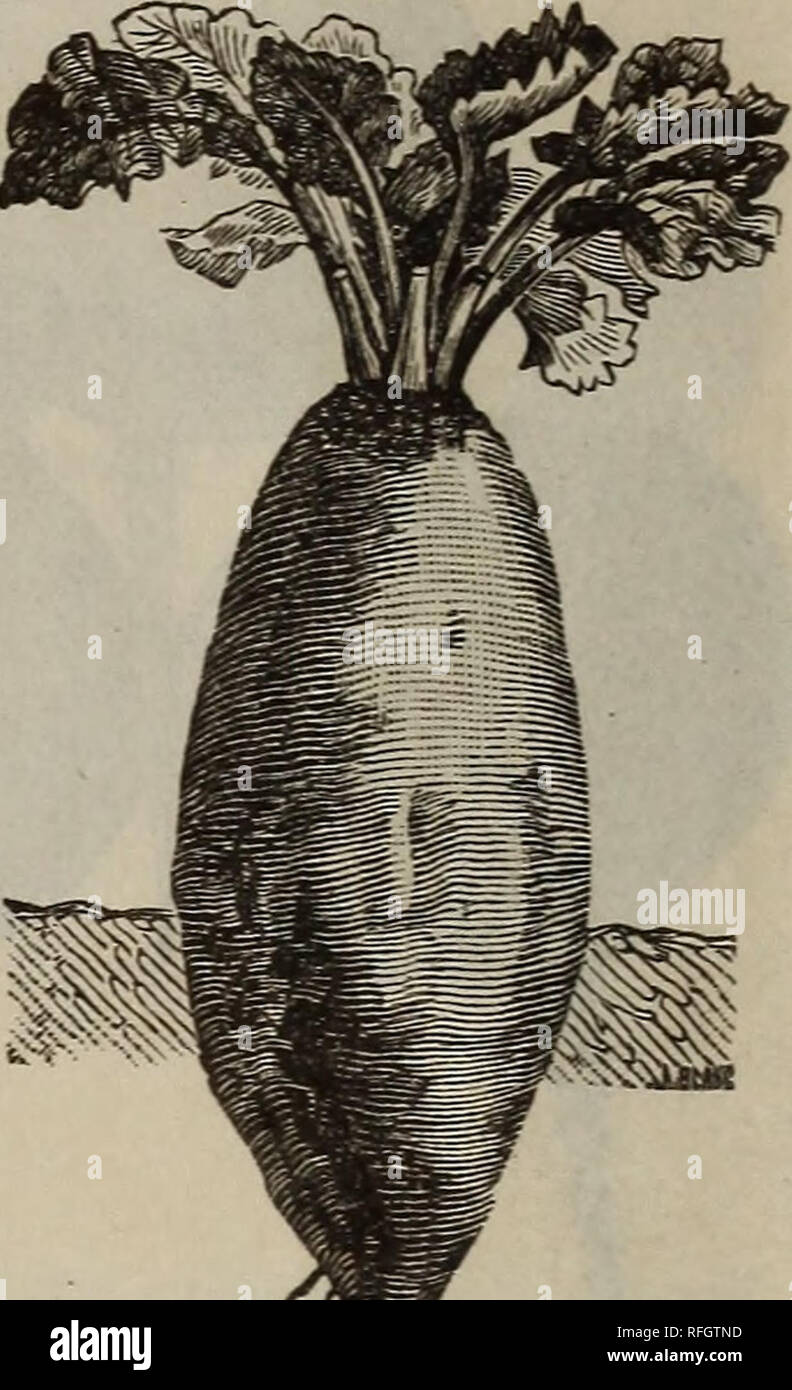 White alkali soil hires stock photography and images Alamy