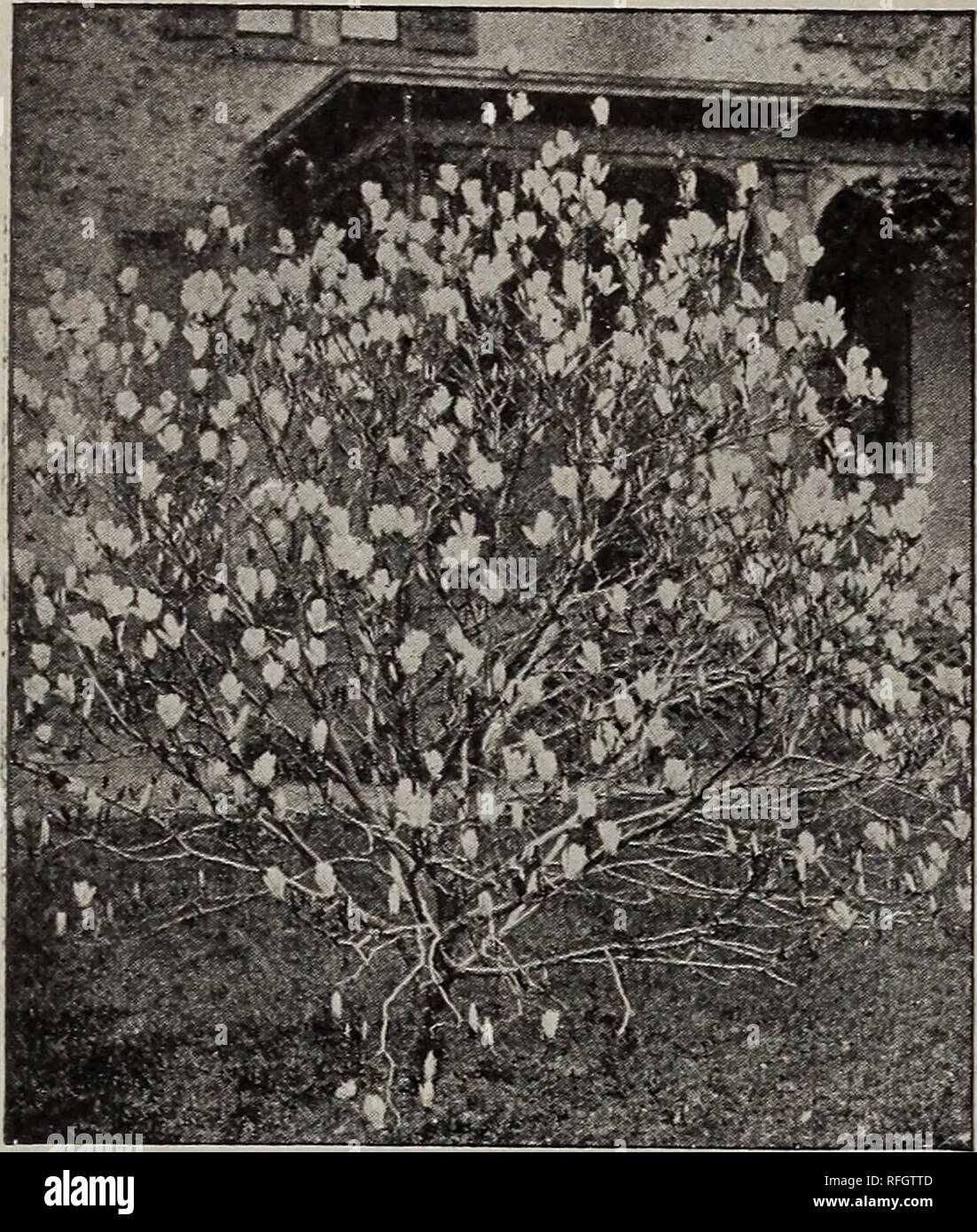 Soulang hires stock photography and images Alamy