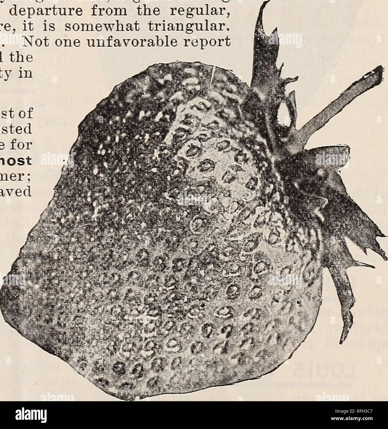 A Fruit Growers Catalogue Of Fruit Trees For Profit Nurseries