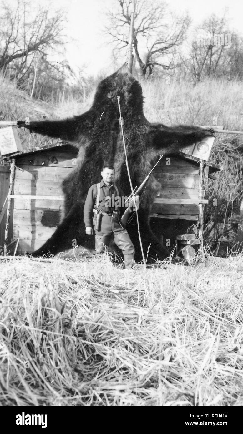 Black and white photograph of a middle-aged man, wearing waders and suspenders, with a handgun in a holster at his waist and holding a large rifle, standing, facing the camera, with the flayed skin of a large bear, likely either a Kodiak bear (Ursus arctos middendorffi) or a grizzly bear (Ursus arctos) stretched across poles balanced against the side of a small wooden shack visible in the background, photographed during a hunting and fishing trip located in Alaska, USA, 1955. () Stock Photo