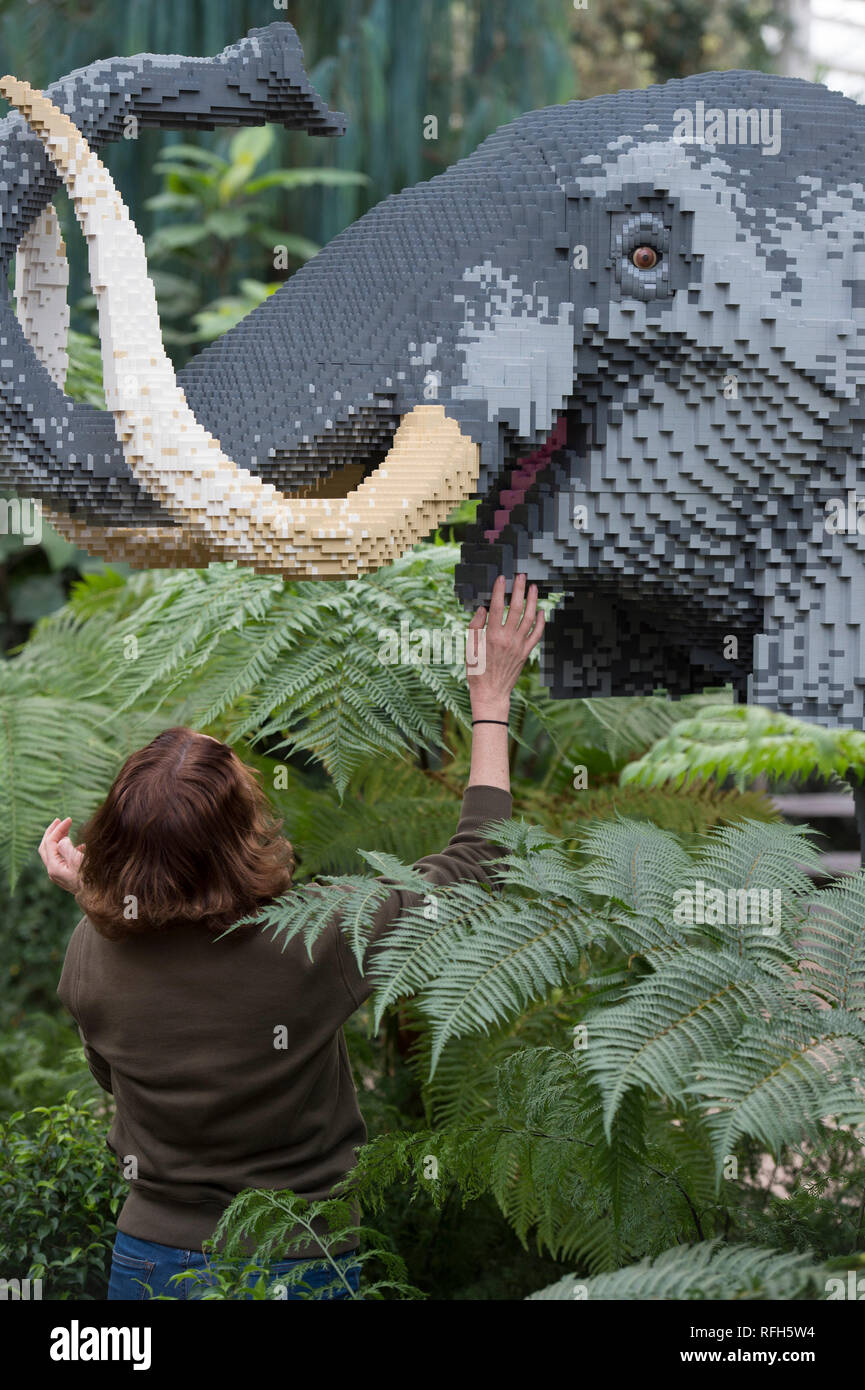 Great Brick Safari 2019, Elephant and Gazelle made of Lego, RHS Garden  Wisley, Woking, Surrey, England, Great Britain, United Kingdom, UK, Europe  Stock Photo - Alamy