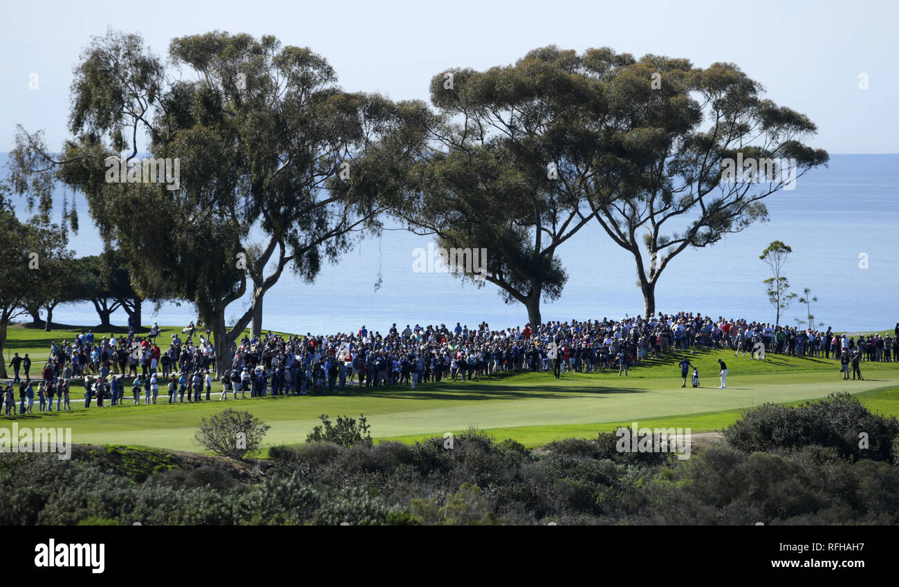 San Diego, California, USA. 25th Jan, 2019. Fans follow TIGER WOODS group during the second round of the Farmers Insurance Open at Torrey Pines Golf Course. Credit: KC Alfred/ZUMA Wire/Alamy Live News Stock Photo