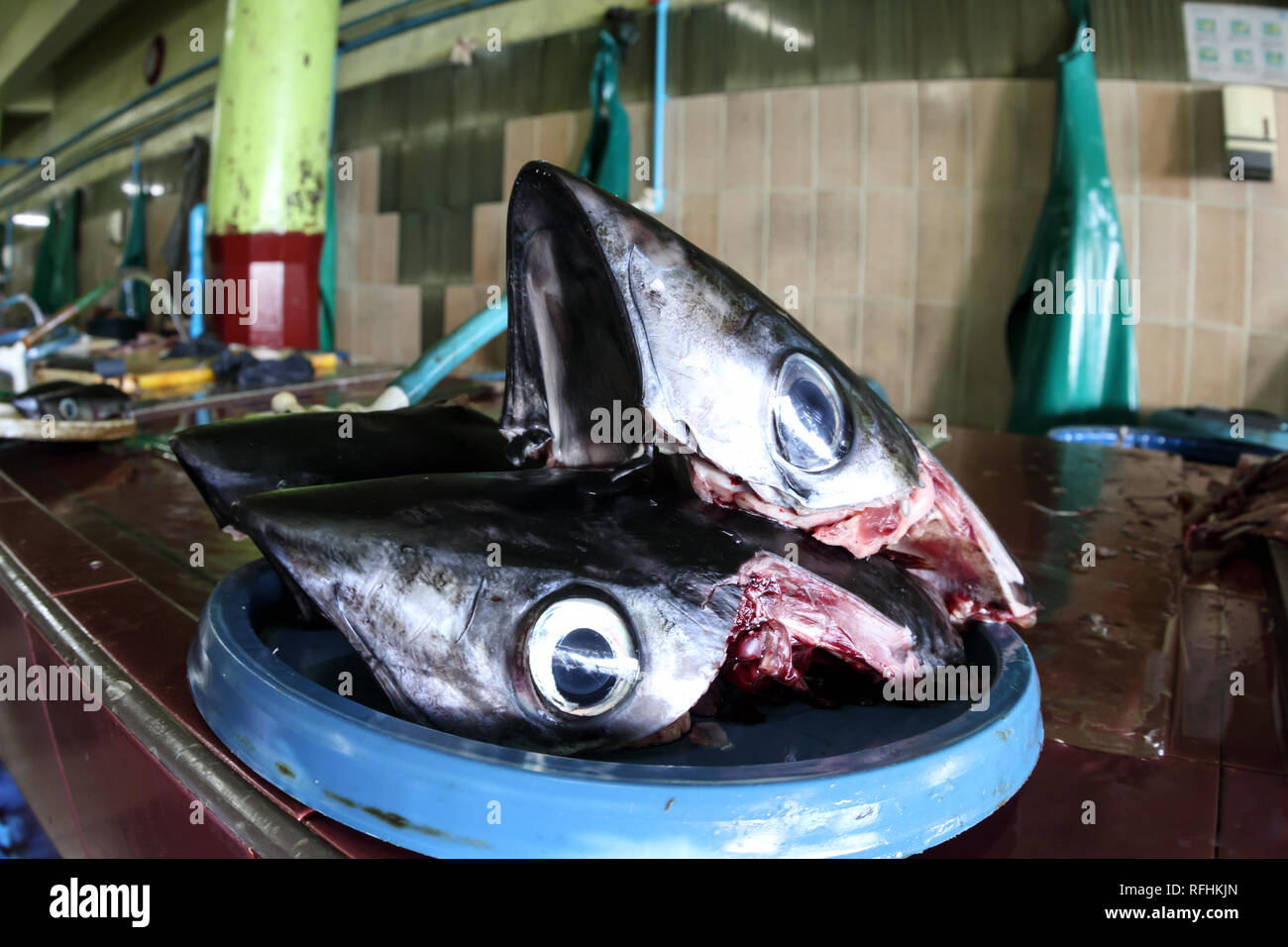 Closeup of Fish heads with glassy eyes on scrap table of local fish market Male, Maldives Stock Photo