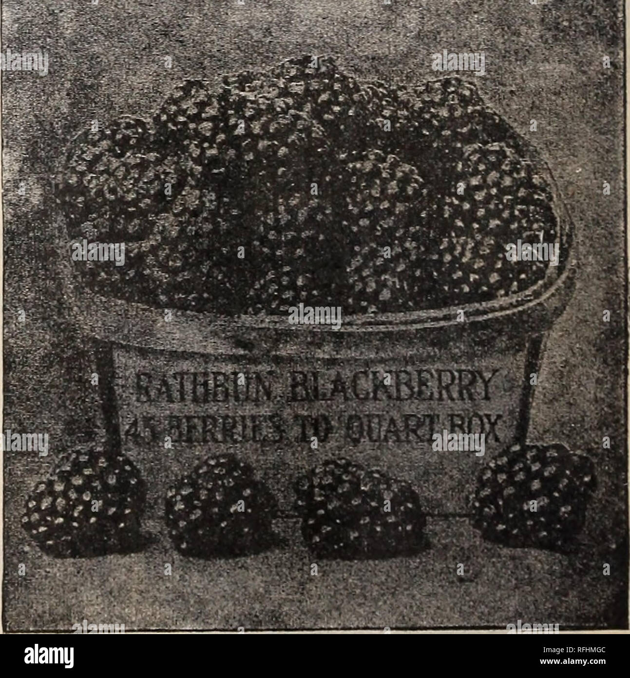 Large white clous hires stock photography and images Alamy