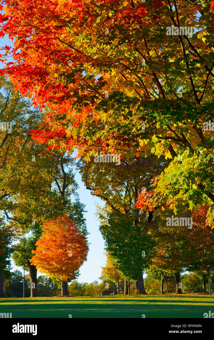 Spectacular Autumn Foliage Stock Photo - Alamy