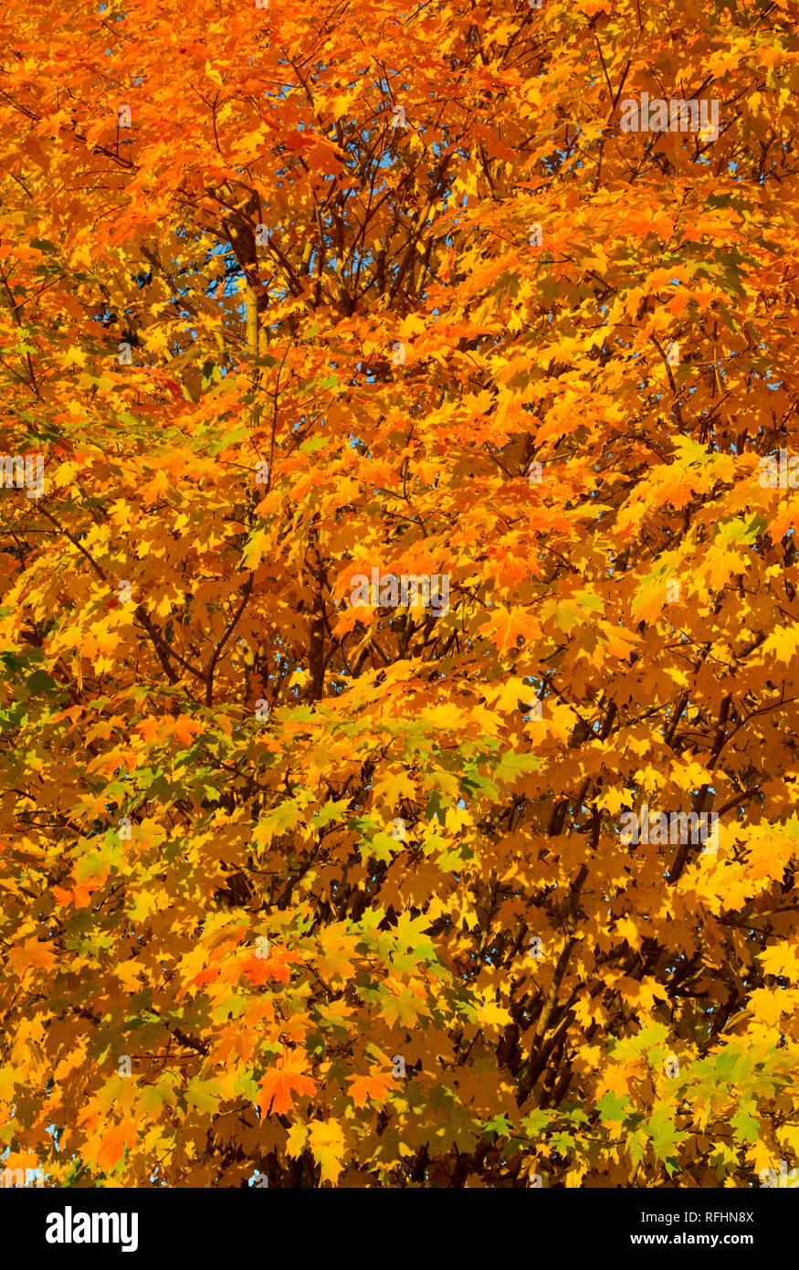 Spectacular daylight hi-res stock photography and images - Alamy
