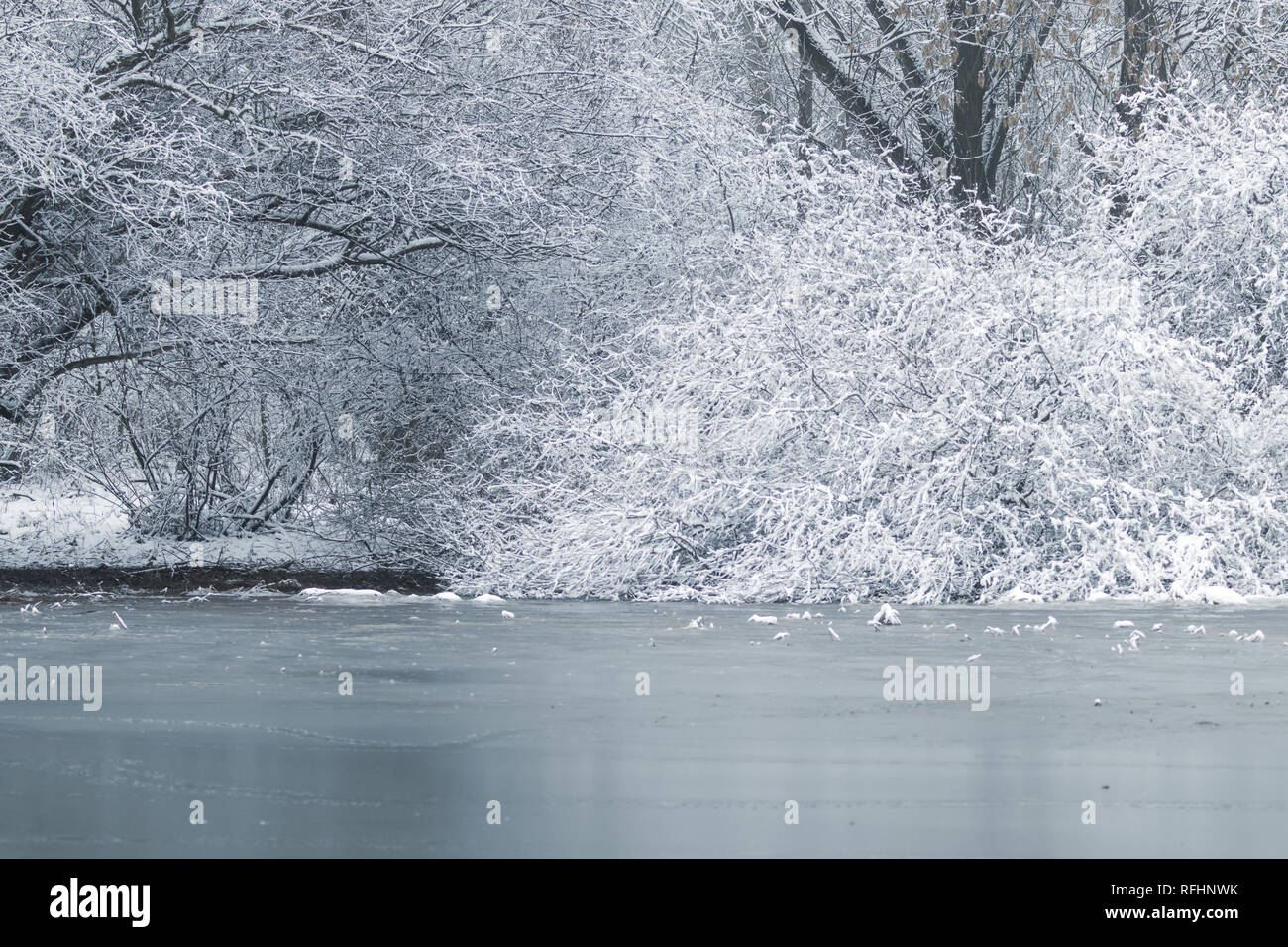 Frozen lake in winter, Winter lake scene Stock Photo - Alamy