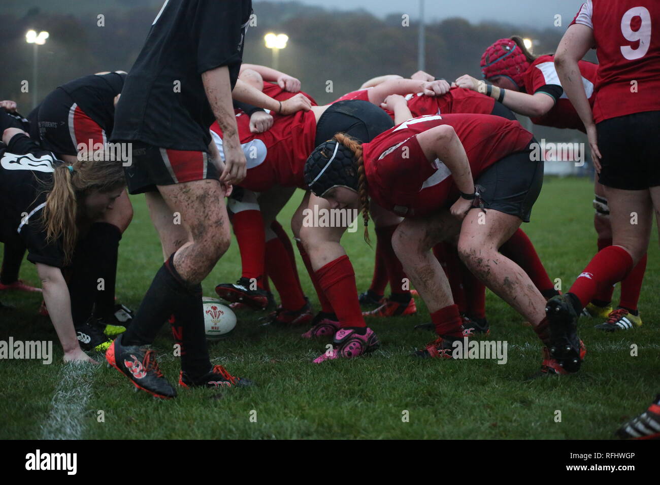 USW Women's rugby game 15/11/2017 Stock Photo Alamy