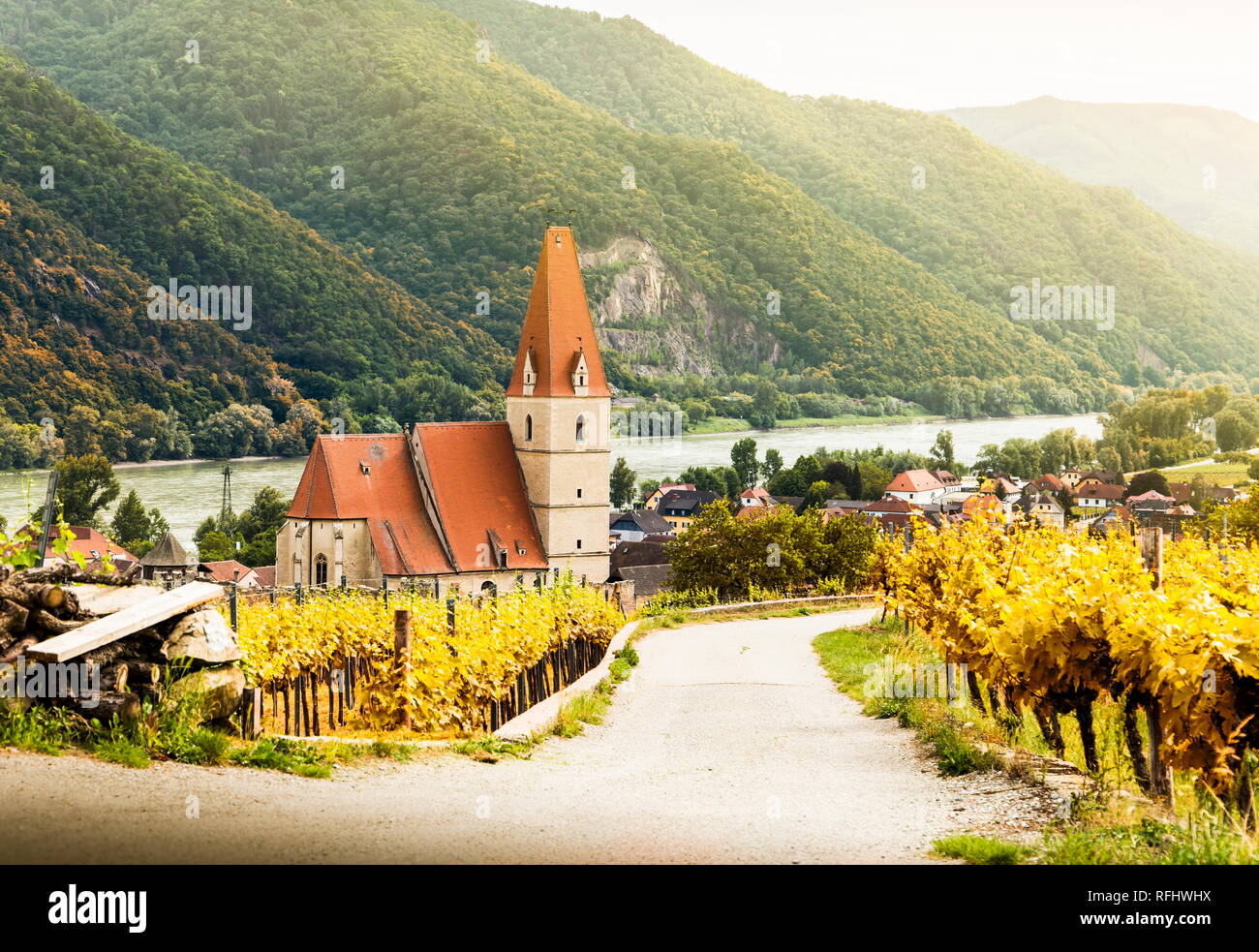 Autumn in Weissenkirchen and vineyards on a sunny day. Wachau. Austria. Stock Photo