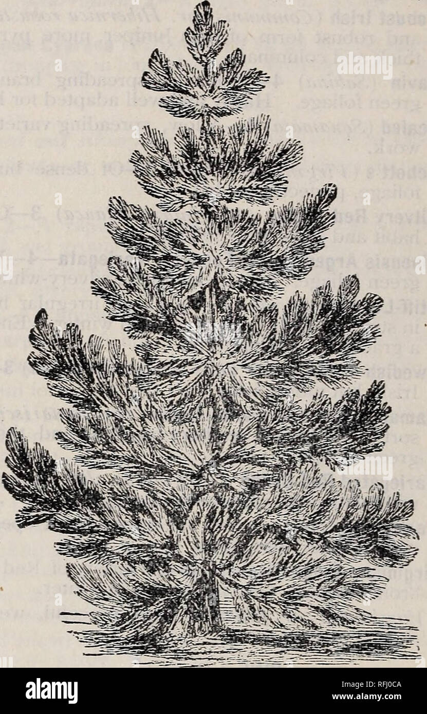 Touch Of Class Product Catalogue 2018 2019 By Touch Of Class