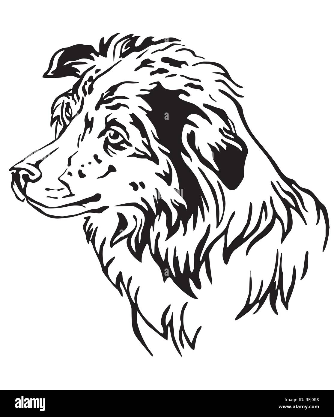 Decorative outline portrait of Dog Border Collie in profile, vector  illustration in black color isolated on white background. Image for design  and tat Stock Vector Image & Art - Alamy