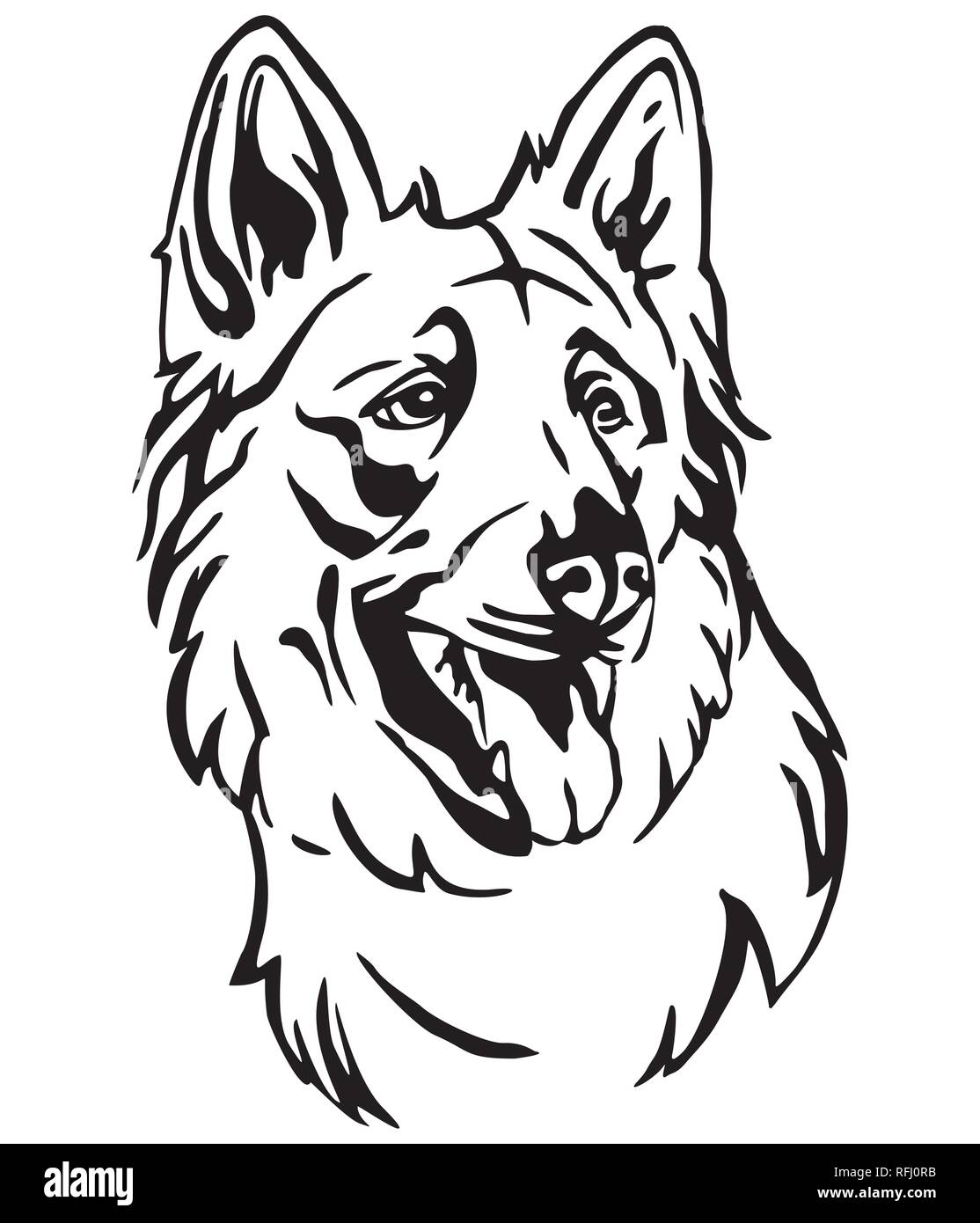 Decorative outline portrait of Dog Berger Blanc Suisse in profile, vector illustration in black color isolated on white background. Image for design a Stock Vector
