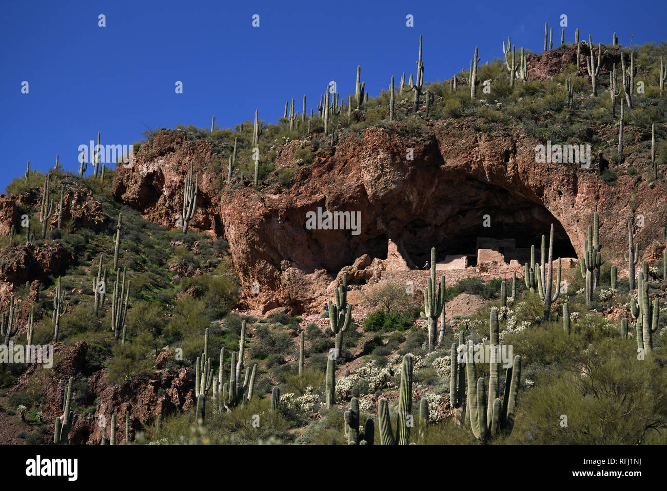 Tonto National Monument contains of the ruins of two cliff dwellings established by the Salado Indians around 1300 AD. Stock Photo
