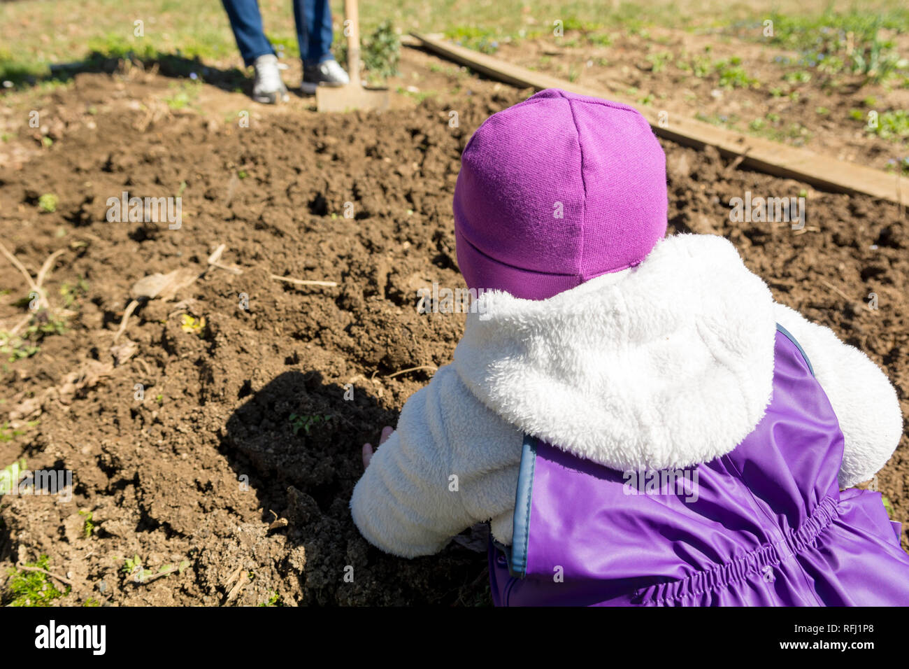 Observing Rear View Gardening at home rear view hi-res stock photography and images - Alamy