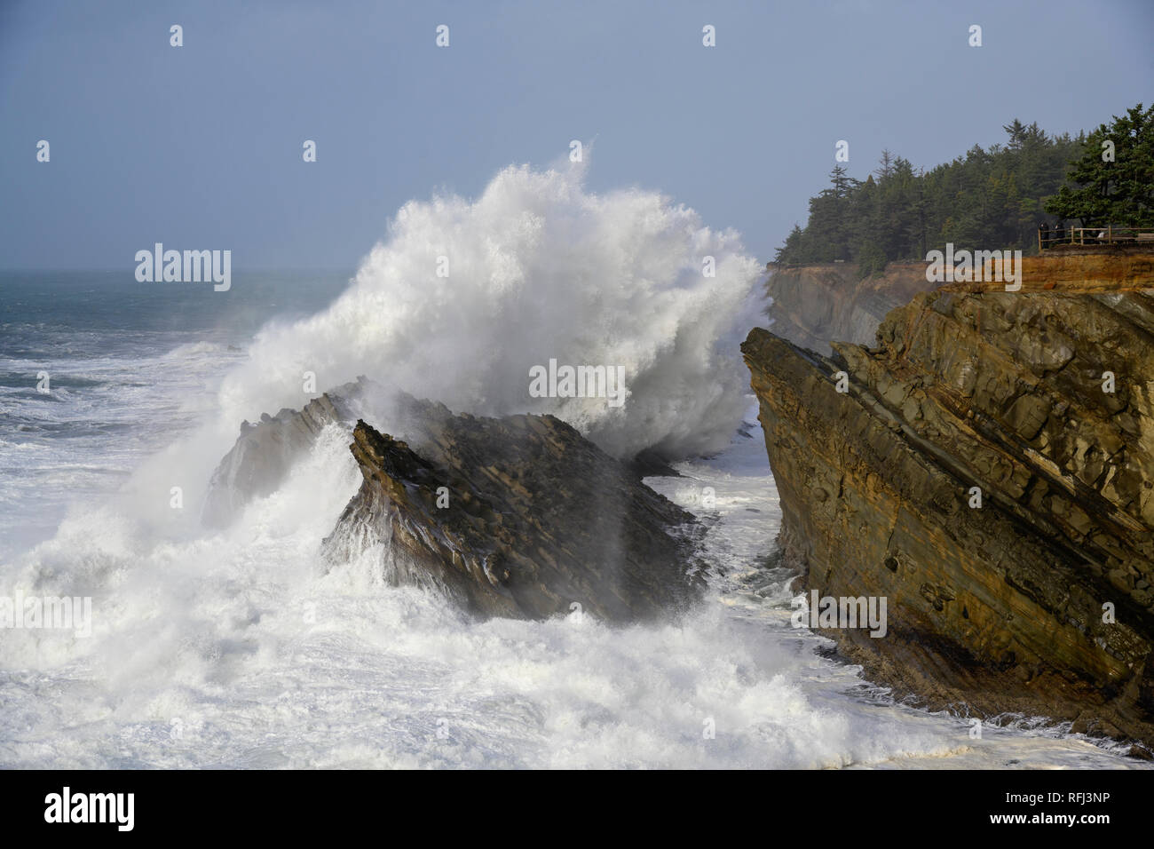 Storm surf at Shore Acres State Park on the southern Oregon coast. Stock Photo