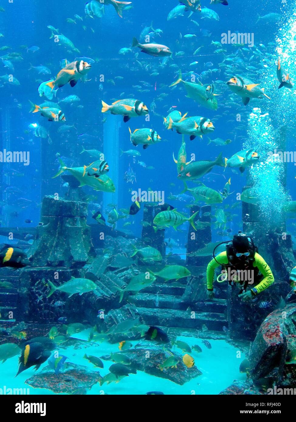 Atlantis Dubai Aquarium Stock Photo Alamy