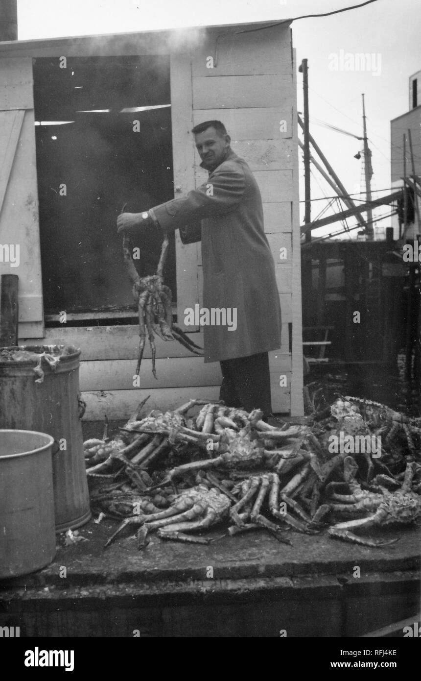 Black and white photograph of a clean-shaven, middle-aged man, seen in profile with his head turned to face the camera, wearing a coat and watch, holding a large, Alaskan, or Red King Crab (Paralithodes camtschaticus) in front of him by two legs, with the bodies of several more King crabs visible in the foreground, and the open door to a wooden shack and ship rigging visible in the background, photographed during a hunting and fishing trip located in Alaska, 1955. () Stock Photo