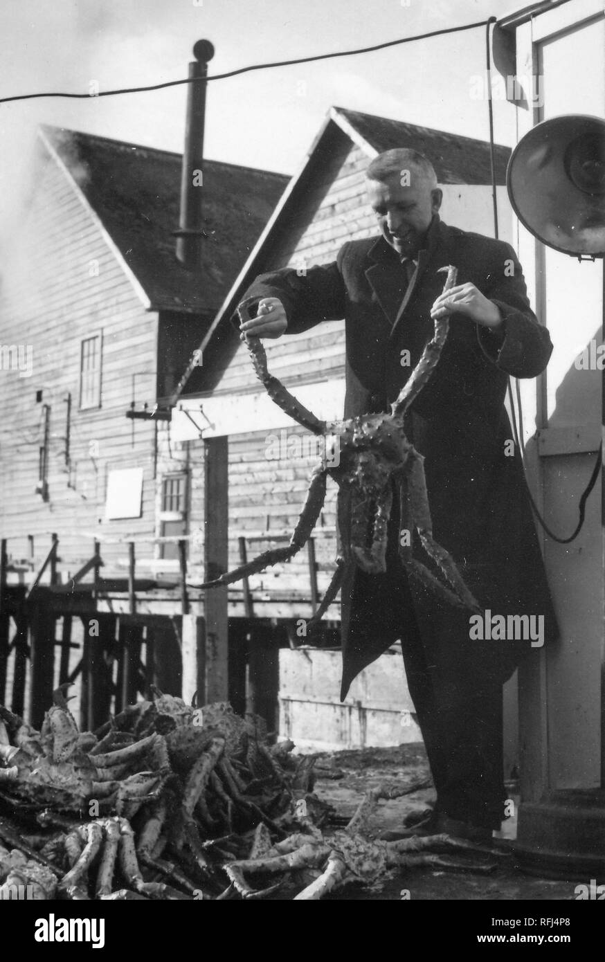 Black and white photograph of a clean-shaven, middle-aged man, seen in full-length view, wearing a coat, and looking downward toward a large, Alaskan, or Red King Crab (Paralithodes camtschaticus) which he holds in front of him by two legs, with the bodies of several more King crabs visible in the foreground and a wooden structure built above a pier visible in the background, photographed during a hunting and fishing trip located in Alaska, 1955. () Stock Photo