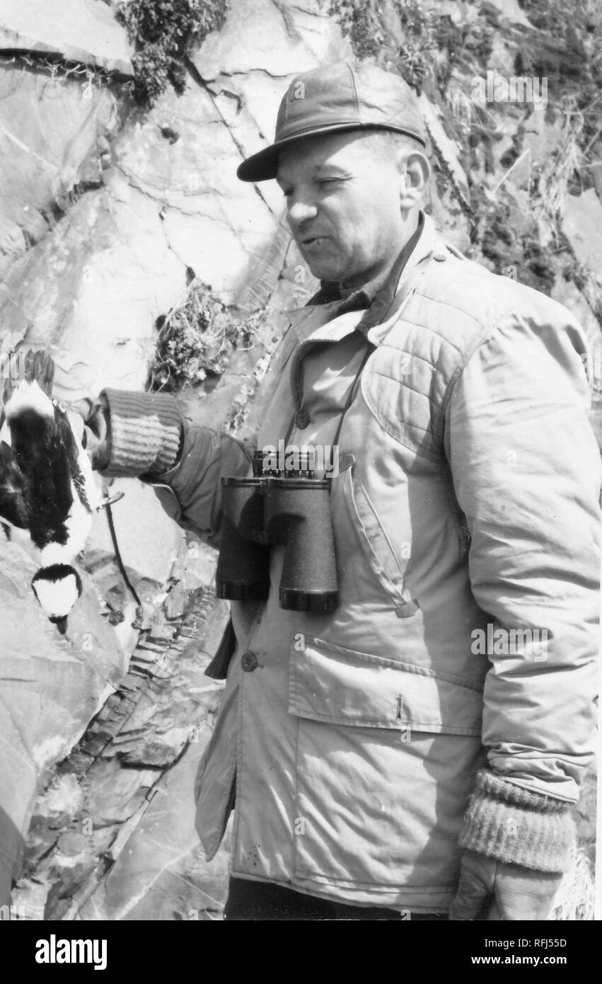 Black and white photograph of a squinting, middle-aged man, seen in three-quarter length profile view, wearing a hunting jacket and a cap, with binoculars strung around his neck, holding a dead game bird by the feet, with a cliff face in the background, photographed during a hunting and fishing trip located in Alaska, 1955. () Stock Photo