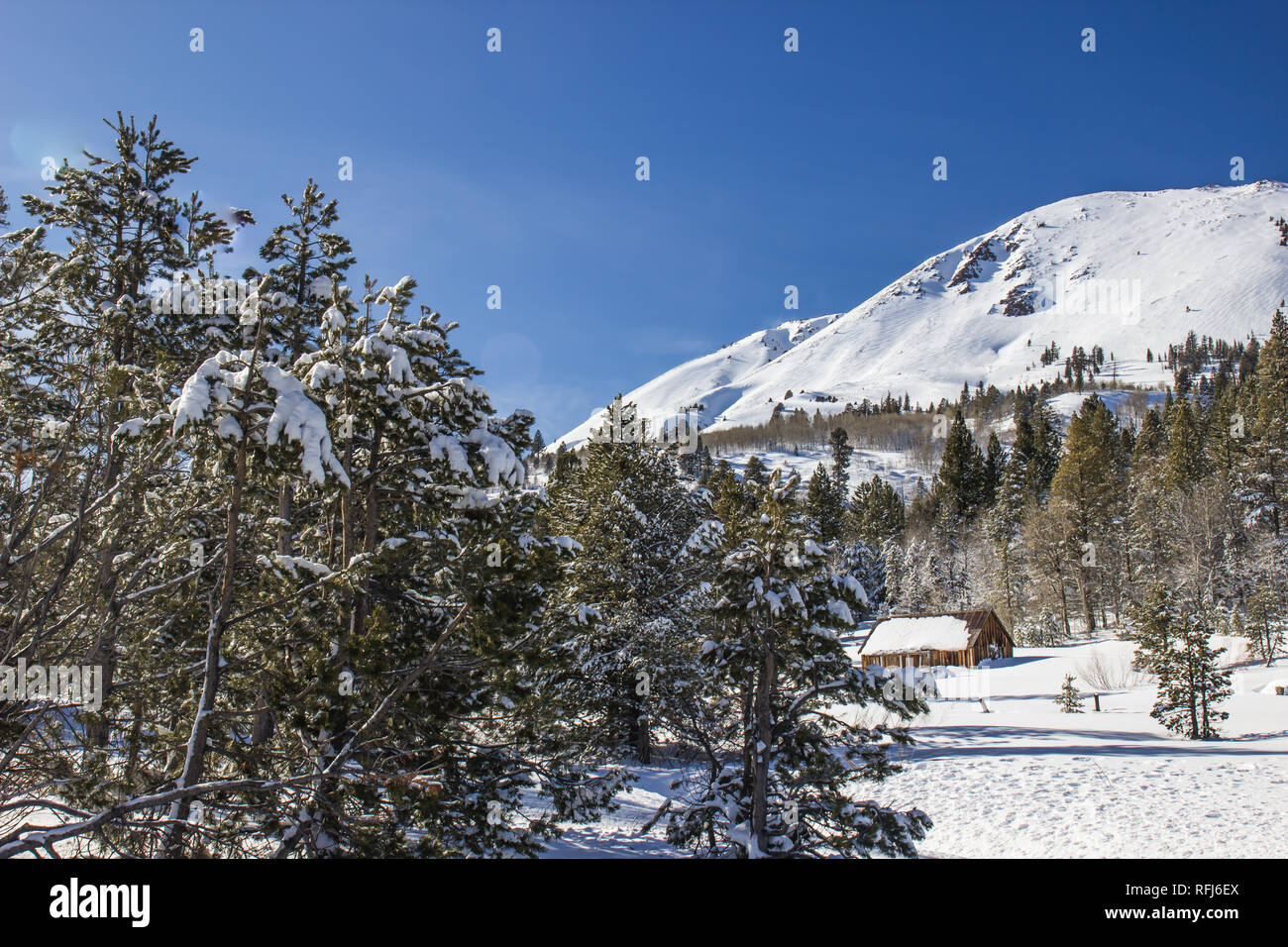 Snow Laden Trees Framing Small Cabin At Base Of Snow Covered