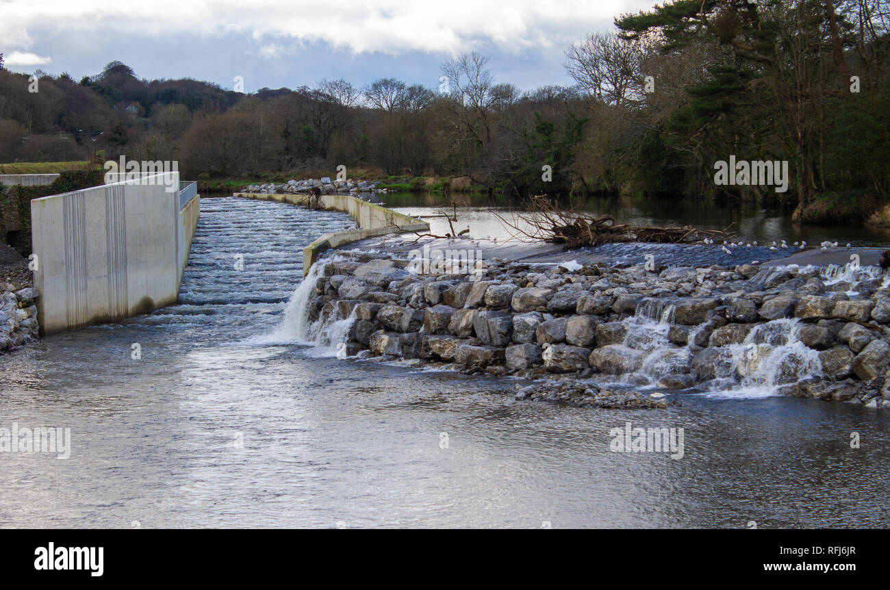 fish ladder or salmon staircase or fish staircase on the river bandon west cork ireland Stock Photo