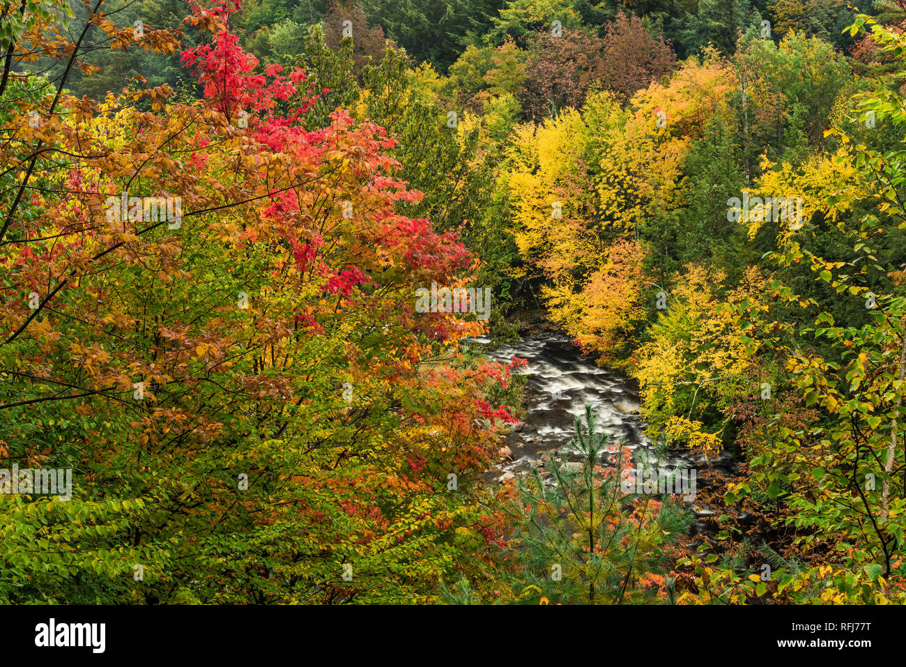 West Branch Ausable River in an autumn forest, Adirondack Mountains