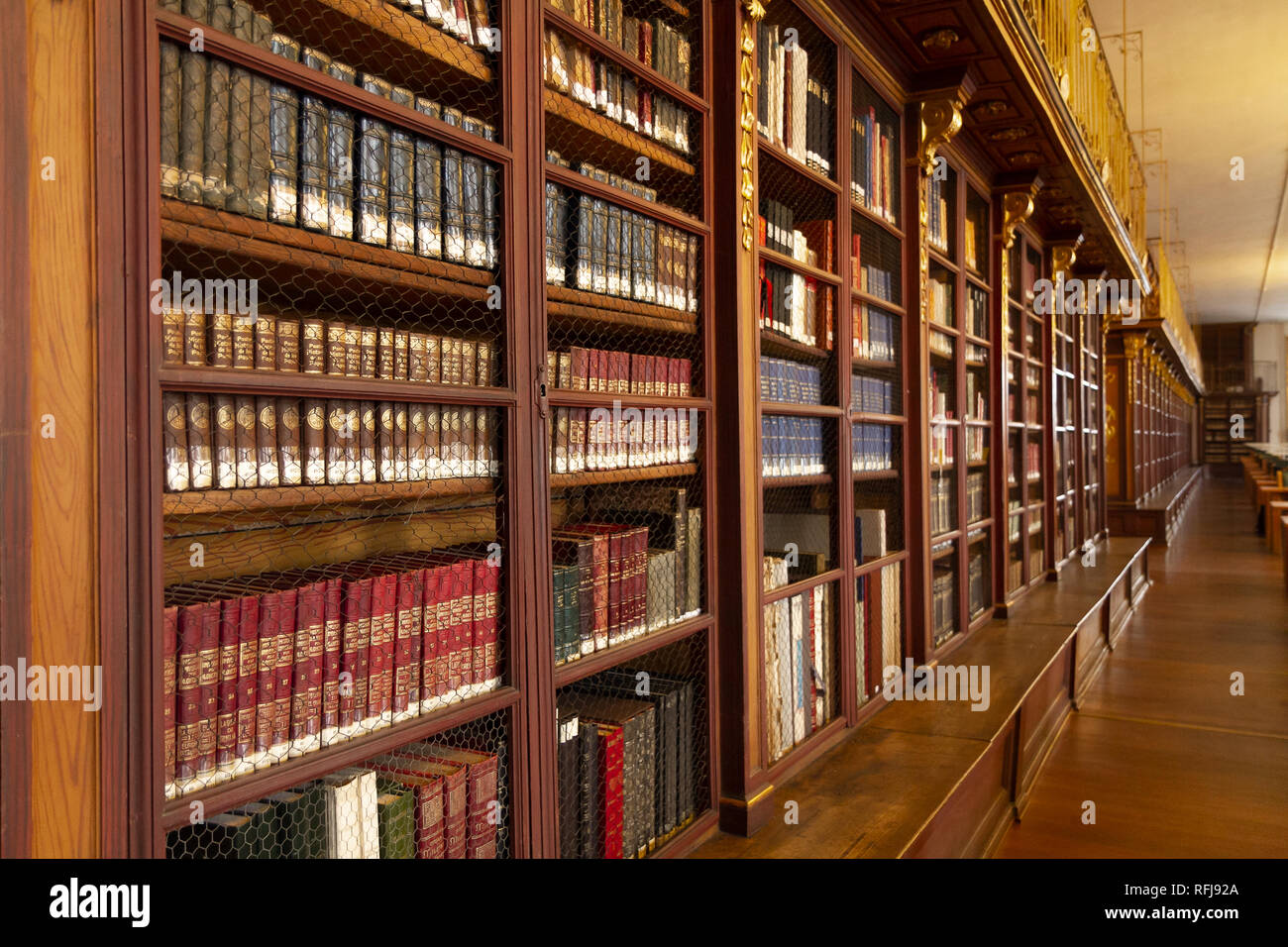 Antique University Library interior. Bookshelf with ancient books Stock Photo